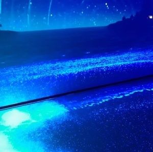 Meet your Posher, Lea